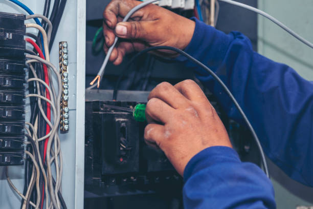 Best Local Electrician Companies  in Scottville, MI