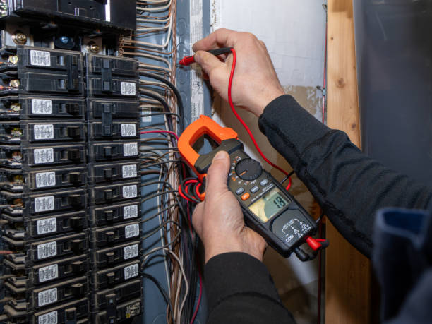 Best Electric Panel Repair  in Scottville, MI